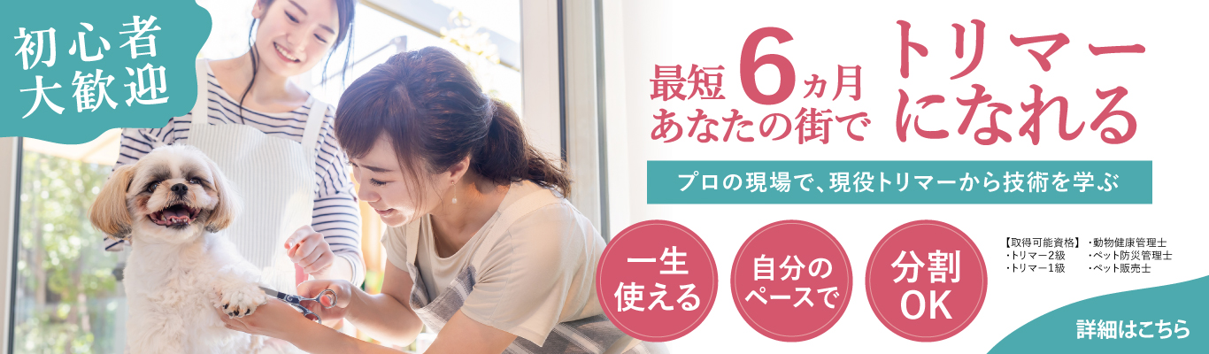 トリミングスクール